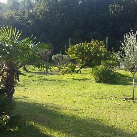 Provence Bed and Breakfast Carpentras Buitenkant foto