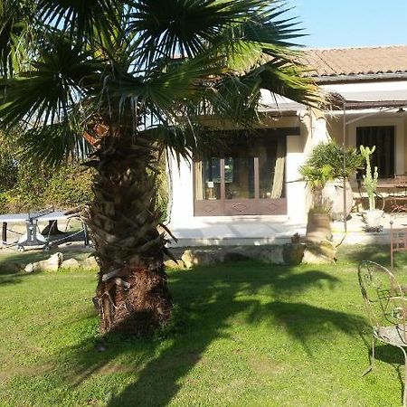 Provence Bed and Breakfast Carpentras Buitenkant foto