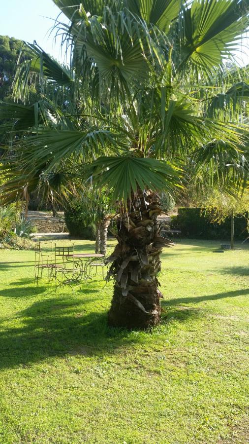 Provence Bed and Breakfast Carpentras Buitenkant foto